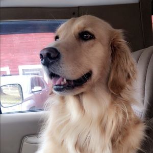 Meet your Posher, Cassie